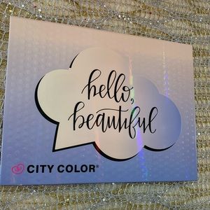 Professional makeup kit